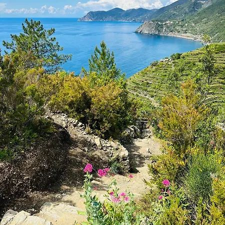 Al Castello
